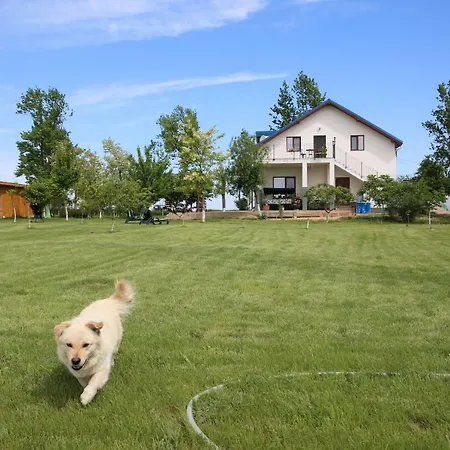 Pensiunea Palaghia 3* Jurilovca