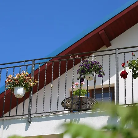 Casa de hóspedes Pensiunea Palaghia