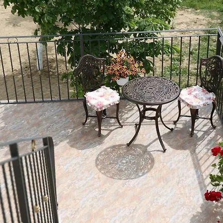 Pensiunea Palaghia 3*