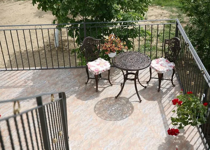 Pensiunea Palaghia 3*