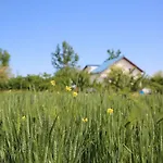 Pensiunea Palaghia Jurilovca