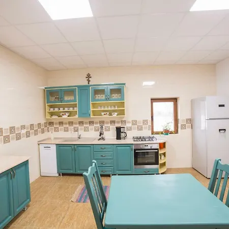 Pensiunea Palaghia Maison d'hôtes