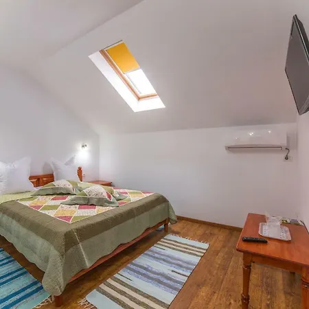 Penzion Pensiunea Palaghia