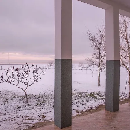 Penzion Pensiunea Palaghia