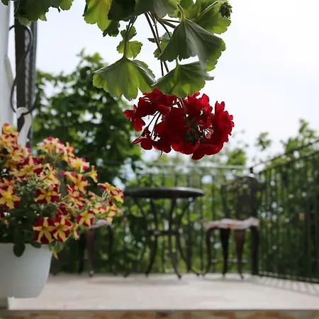 Pensiunea Palaghia Penzion Jurilovca