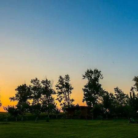 Pensiunea Palaghia Maison d'hôtes 3*