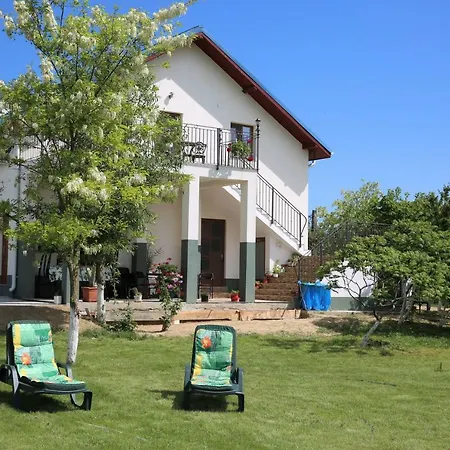 Maison d'hôtes Pensiunea Palaghia