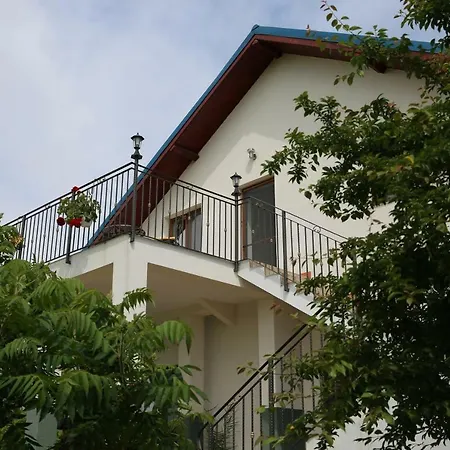 Maison d'hôtes Pensiunea Palaghia *
