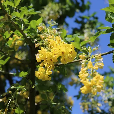 Maison d'hôtes Pensiunea Palaghia Jurilovca