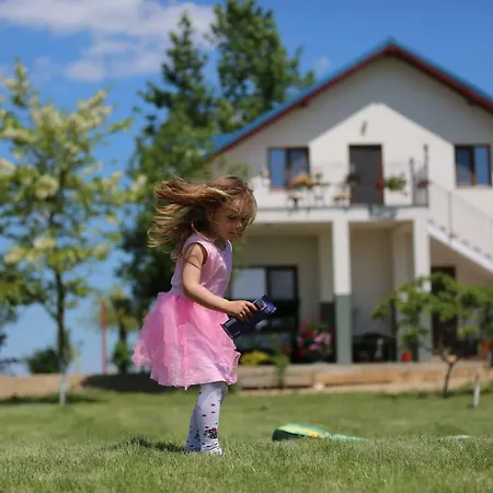 Penzion Pensiunea Palaghia