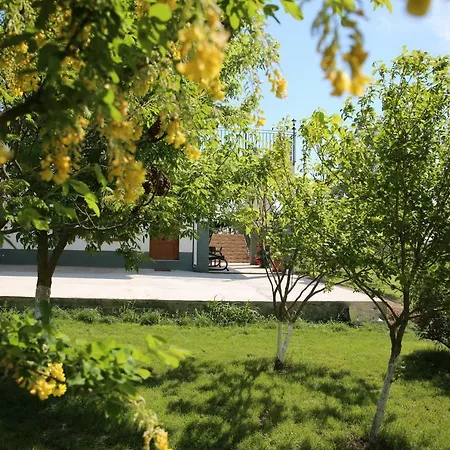 Maison d'hôtes Pensiunea Palaghia