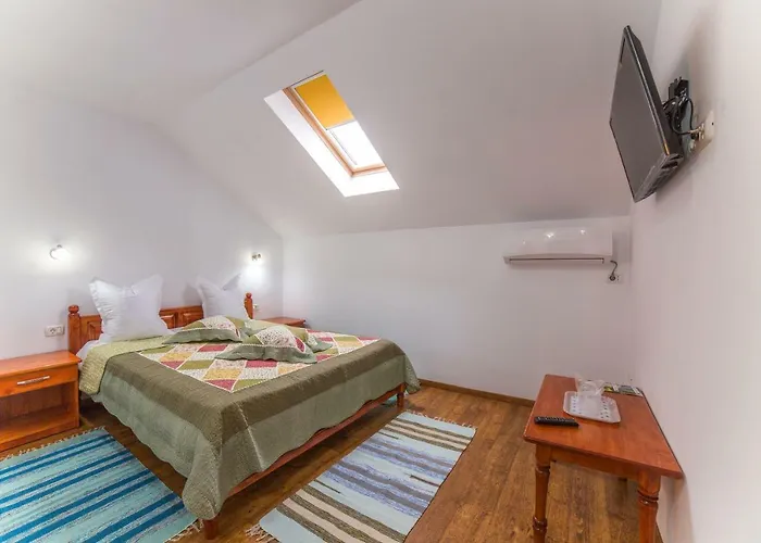 Guest house Pensiunea Palaghia