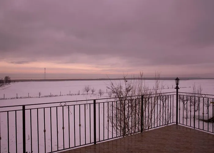 Pensiunea Palaghia 3*