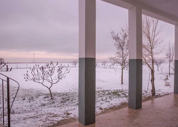 בית הארחה Pensiunea Palaghia