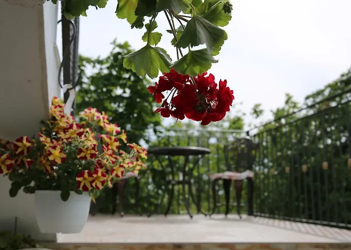 Pensiunea Palaghia Guest house Jurilovca