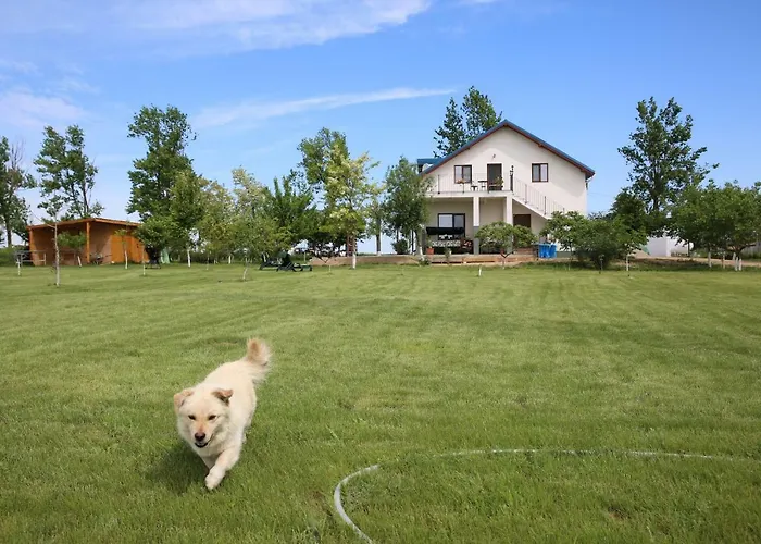 Pensiunea Palaghia 3* Jurilovca