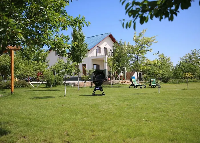 Pensiunea Palaghia Guest house 3*