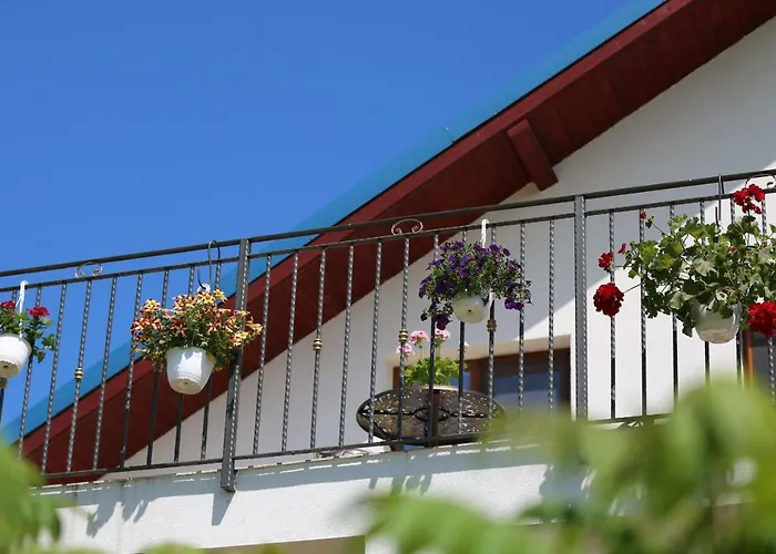 Guest house Pensiunea Palaghia