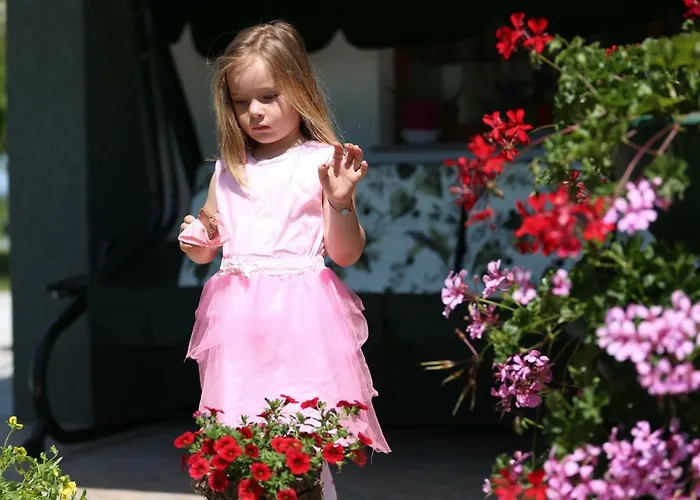 Pensiunea Palaghia בית הארחה