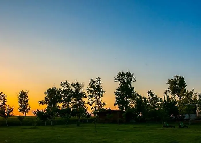 Pensiunea Palaghia Guest house 3*