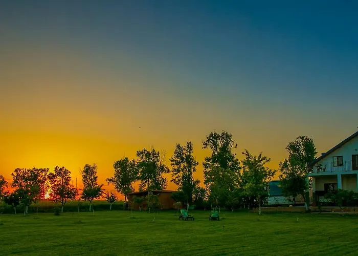 Gasthuis Pensiunea Palaghia 3*