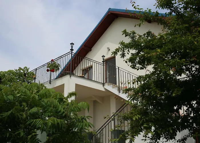 Guest house Pensiunea Palaghia 3*