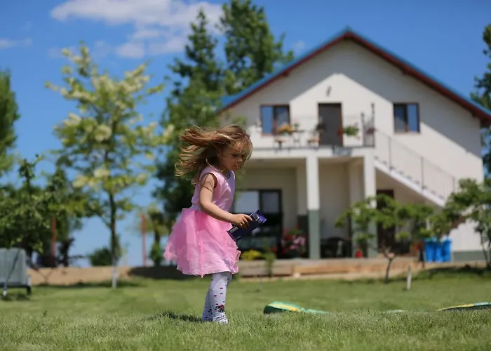 Gasthuis Pensiunea Palaghia