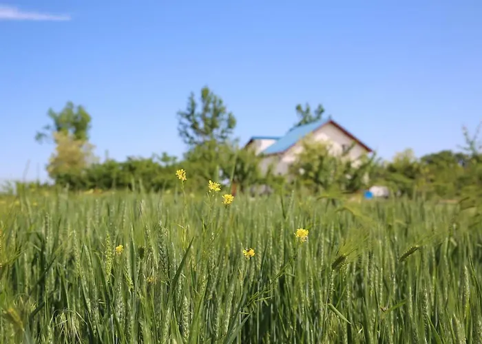 Pensiunea Palaghia יורילובקה