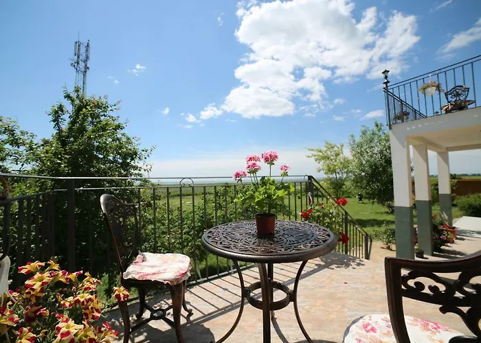 Pensiunea Palaghia Guest house Jurilovca