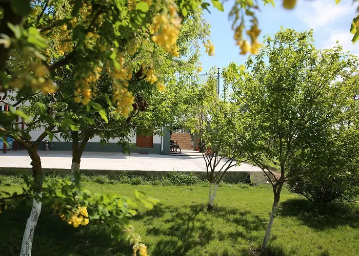 Gasthuis Pensiunea Palaghia