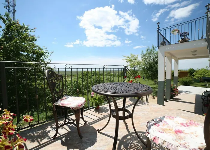 בית הארחה Pensiunea Palaghia יורילובקה